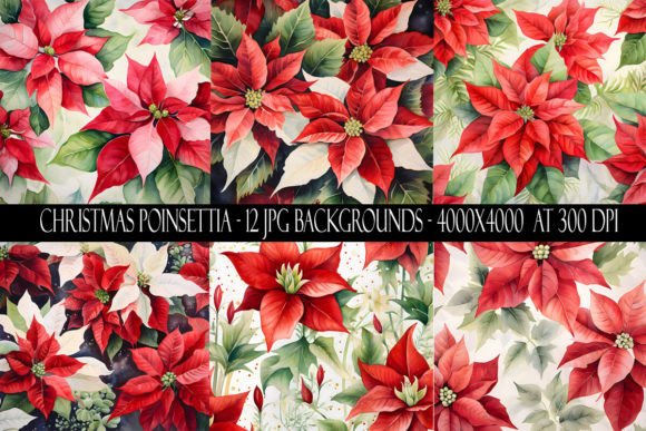 Christmas Poinsettia Backgrounds: A Designer's Festive Toolkit